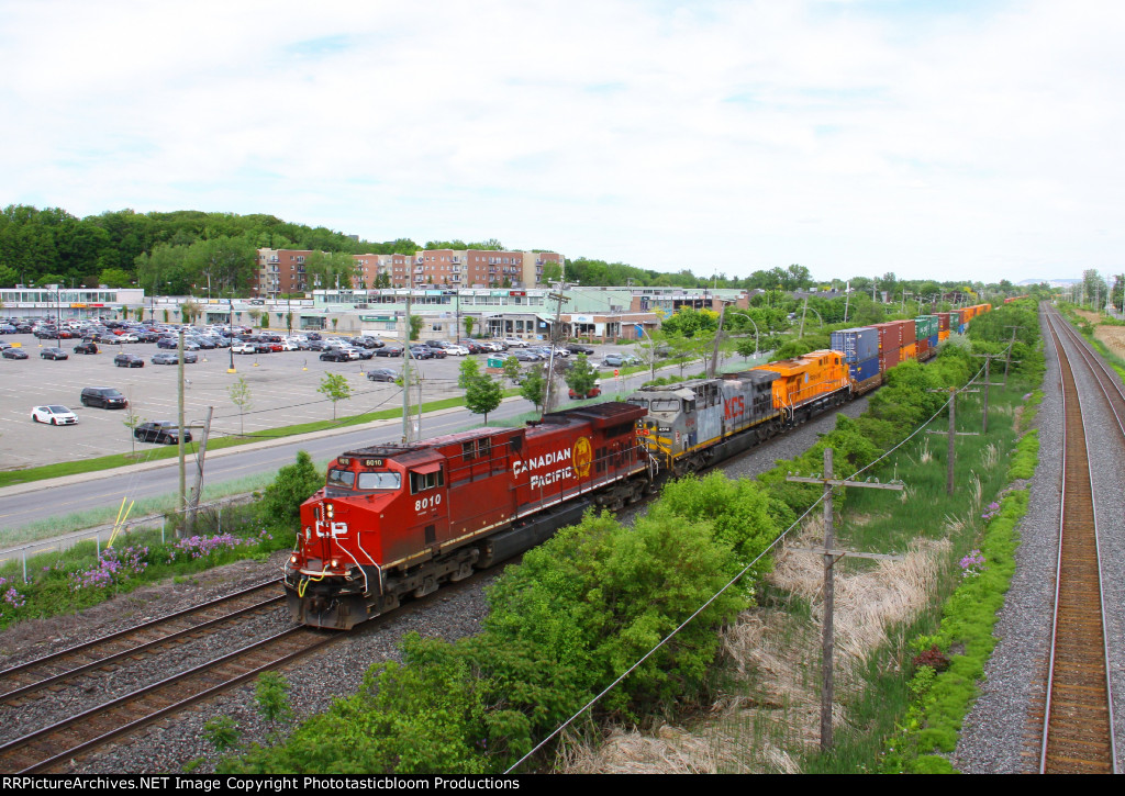 CP 8010